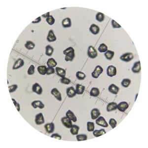 SND-M15 Micron Diamond for High-Precision Lapping, Polishing, PCD Manufacturing & Luxury Gemstone Processing