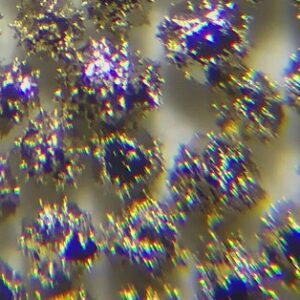 Nickel-Plated Diamond N56  – Spiny Surface for Resin & Ceramic Bond Tools